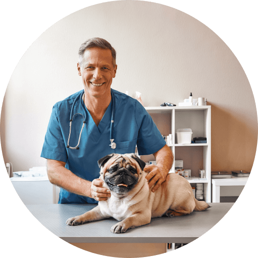 Clinica Veterinaria Passo Corese