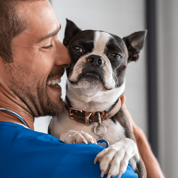 Prevenzione Veterinario a Fiano Romano