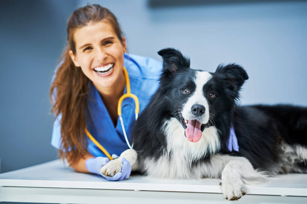 Veterinario a Fiano Romano